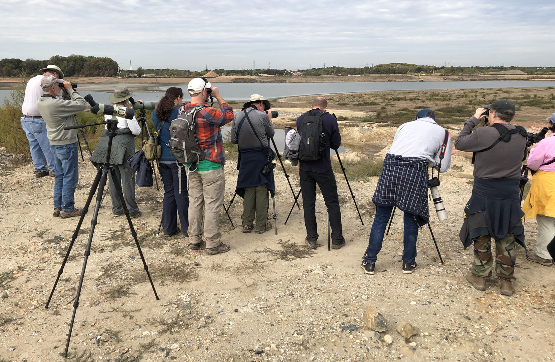 Birding tour at Cox Creek in MD